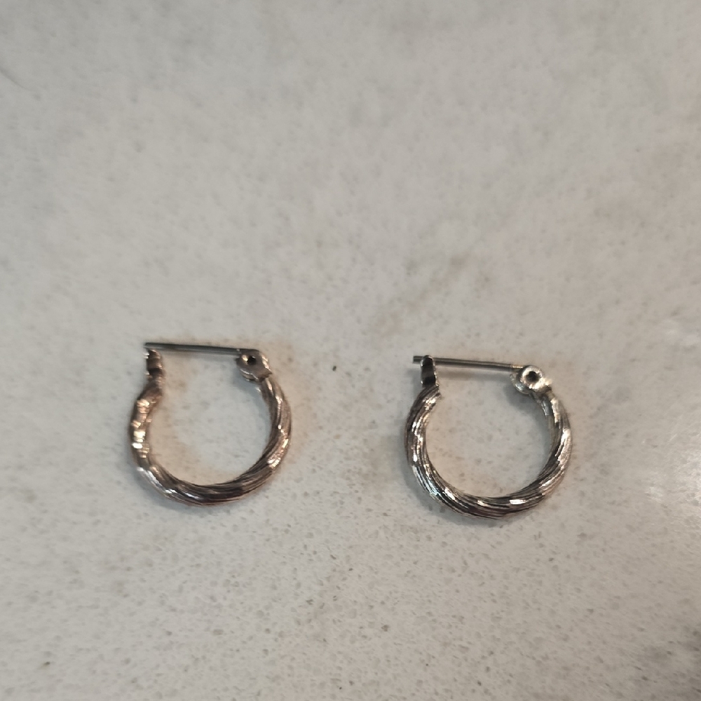 Elegant Gold Hoop Earrings